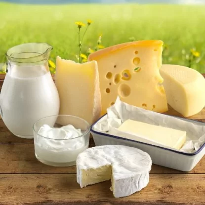 Alternative to dairy products: What can replace milk, cheese and butter?